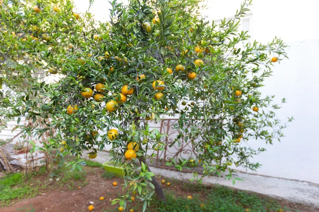 Guest house Laila'S Cozy Garden House & Studio Larnaca